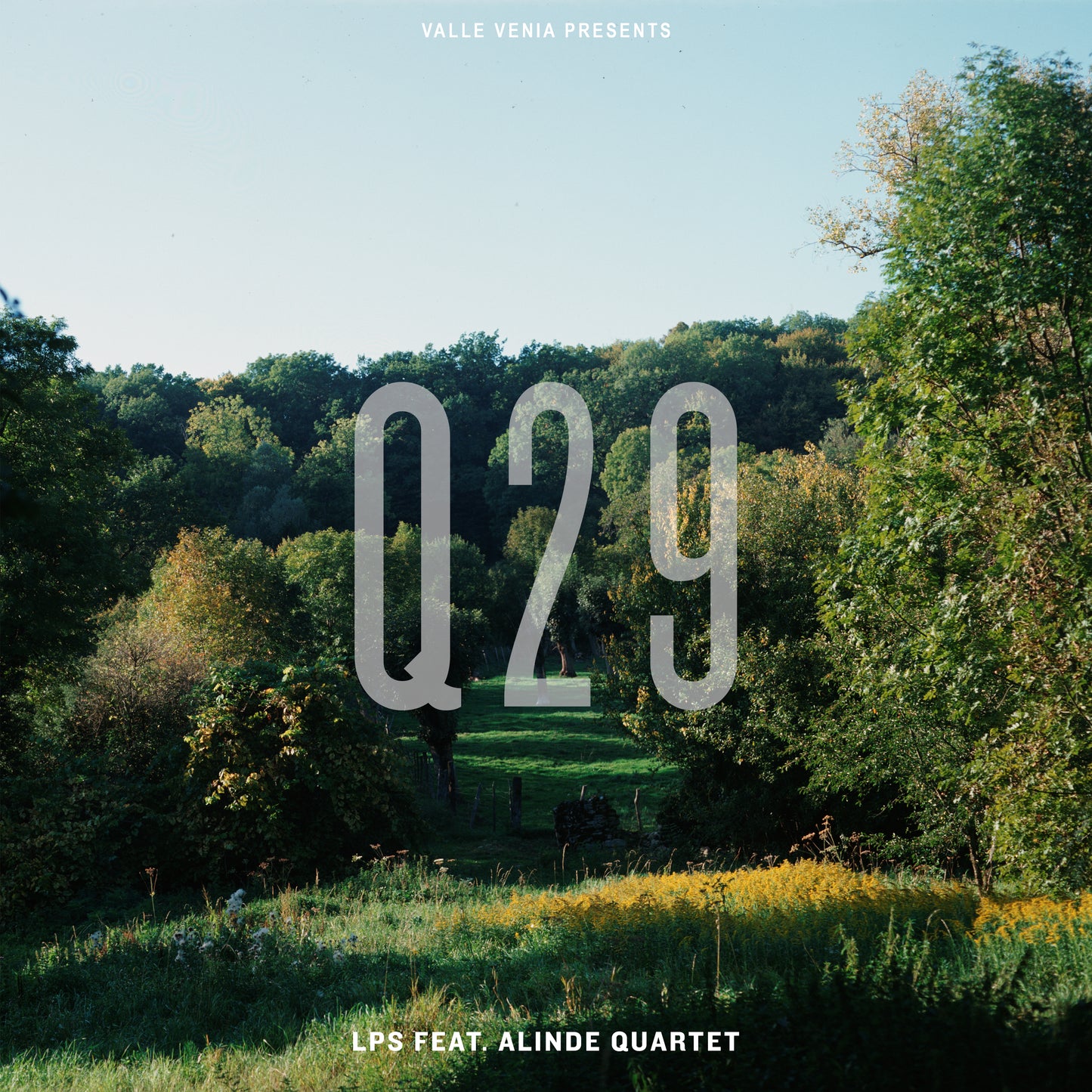 Contemporary W [DOWNLOAD]